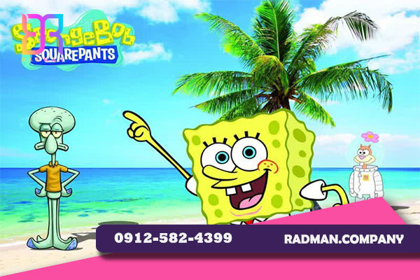 صادرات روبالشی فانتزی مخمل